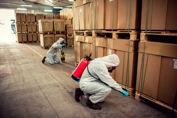 Best Flea Control Services  in Luxemburg, WI