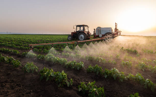 Best Best Pest Control Companies  in Luxemburg, WI