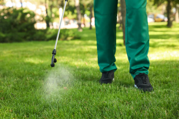 Best Cockroach Control Services  in Luxemburg, WI