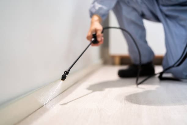 Best Pest Removal Services  in Luxemburg, WI