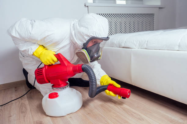 Best Exterminator Services  in Luxemburg, WI
