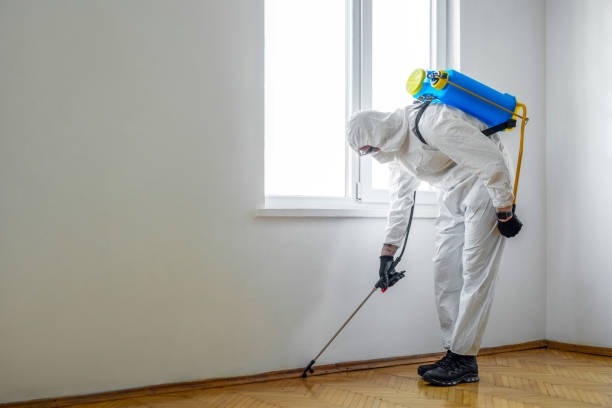 Pest Control for Restaurants in Luxemburg, WI