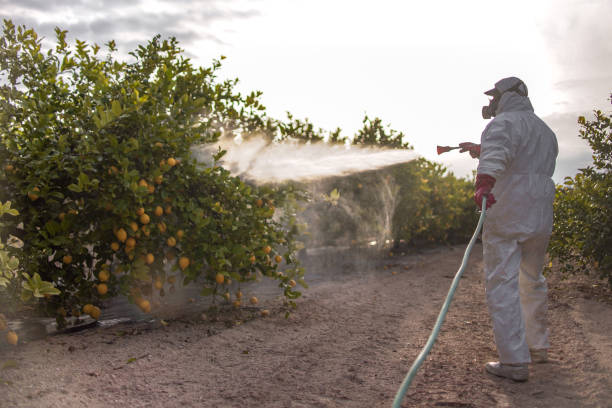 Best Commercial Pest Control Services  in Luxemburg, WI