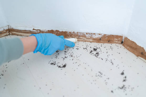 Best Wildlife Control Services  in Luxemburg, WI