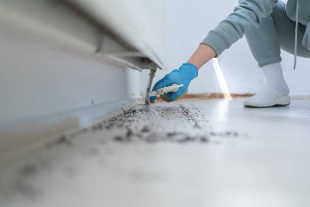 Best Pest Prevention Services  in Luxemburg, WI